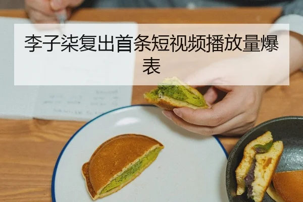li-zi-qi-fu-chu-shou-tiao-duan-shi-pin-bo-fang-liang-bao-biao-2-962.jpg