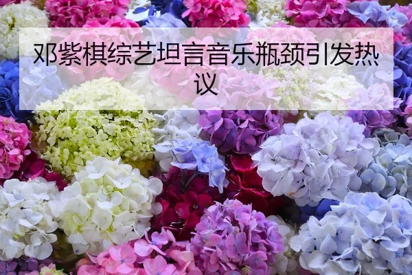 deng-zi-qi-zong-yi-tan-yan-yin-yue-ping-jing-yin-fa-re-yi-1-975.jpg